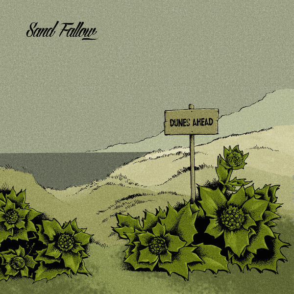album dunes ahead